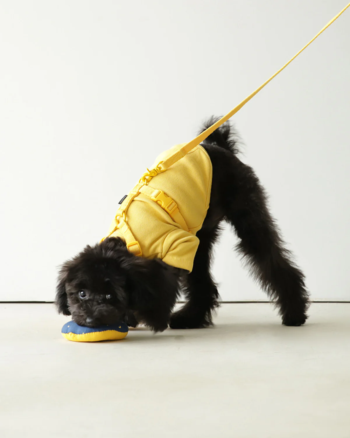 Macaron Harness . Yellow