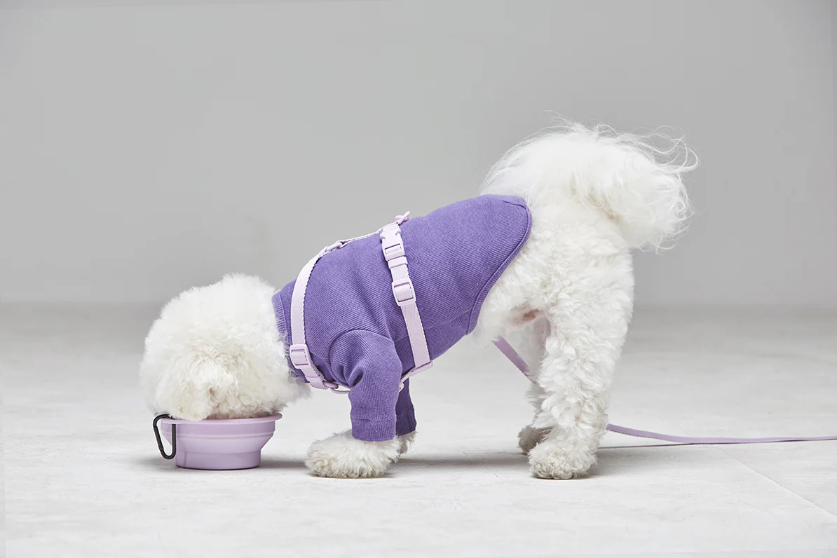 Macaron Harness . Lavender