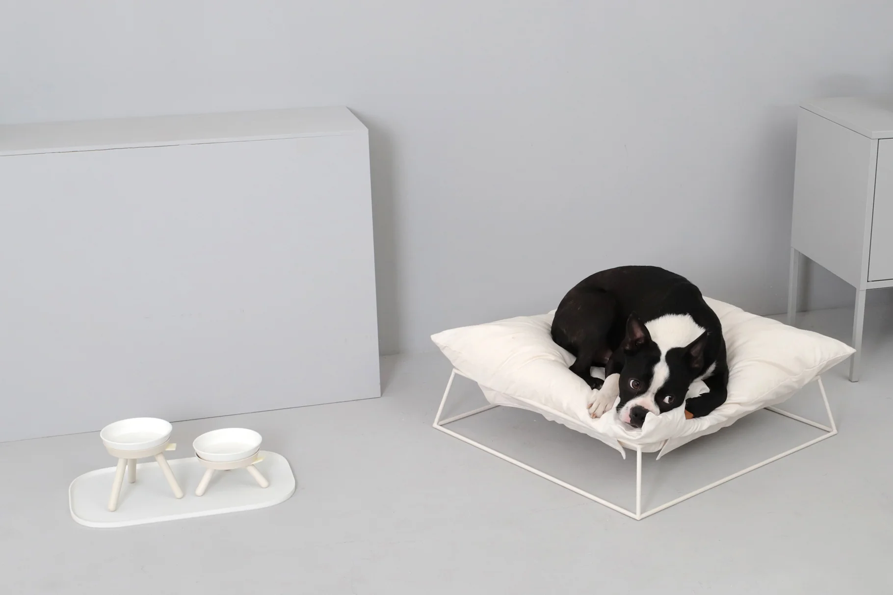 Oreo Elevated Pet Feeder Table. White . Tall