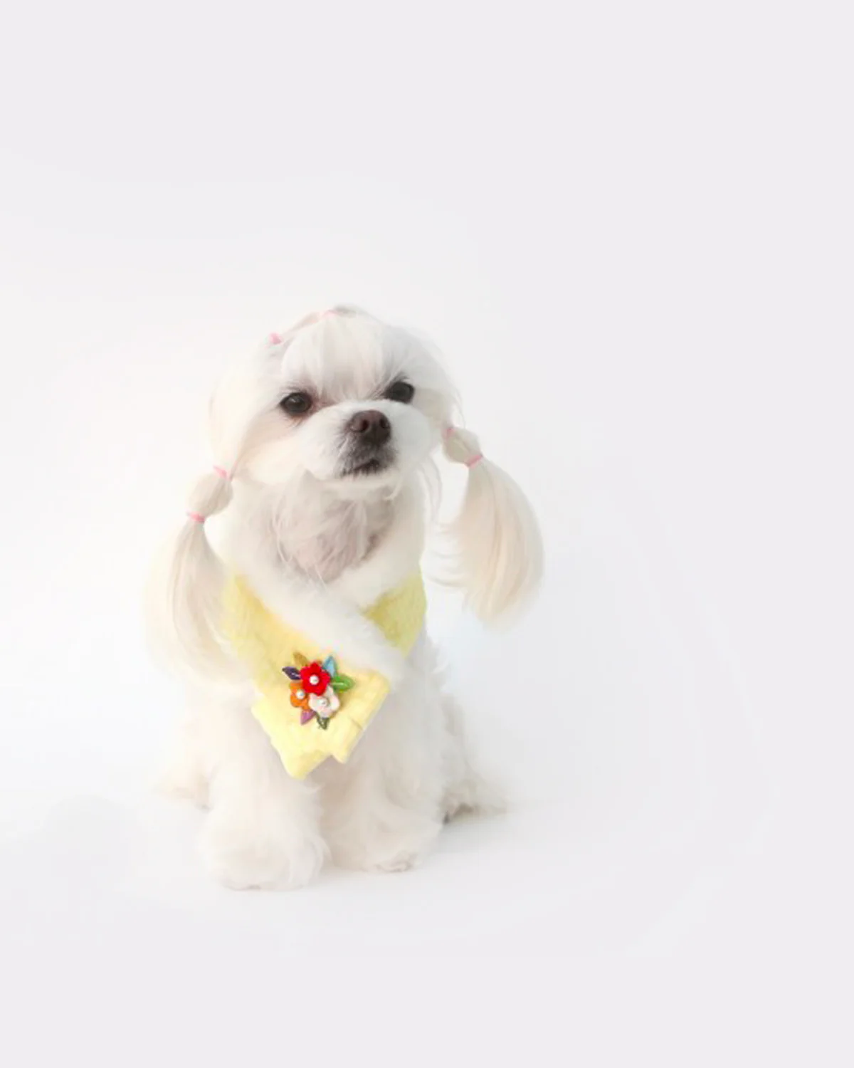 Hanbok Nubim dog cape
