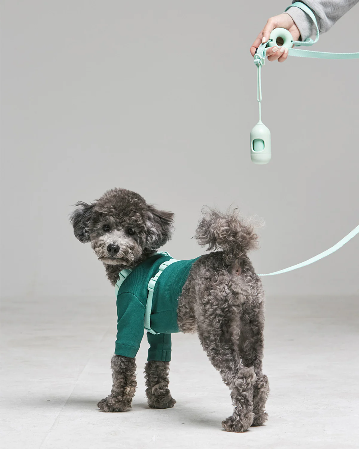 Macaron Poop Bag Case . Aqua