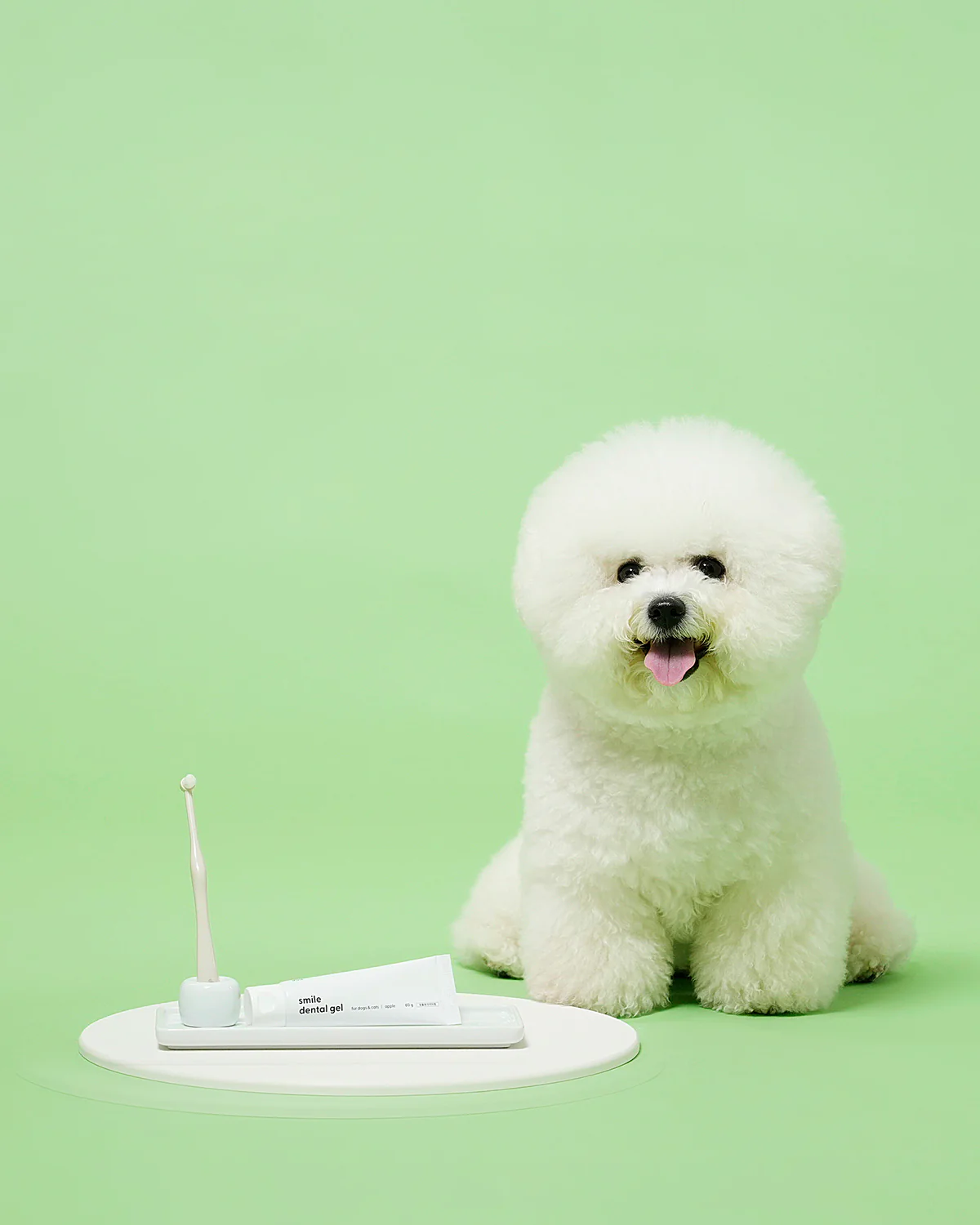 Smile Dental Brush & Gel