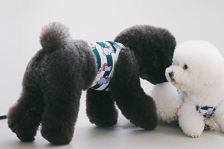 ALOHA HIPPO CROP TEE . EMERALD GREEN