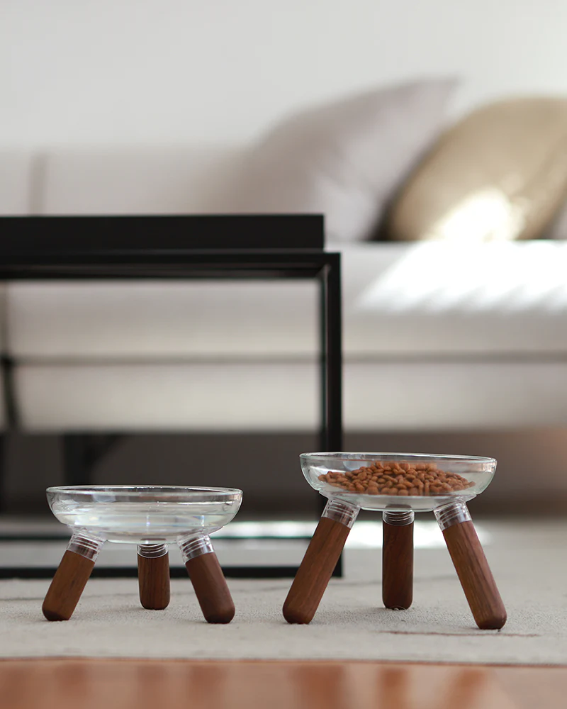 Oreo Glass Elevated Pet Table. Walnut . Tall