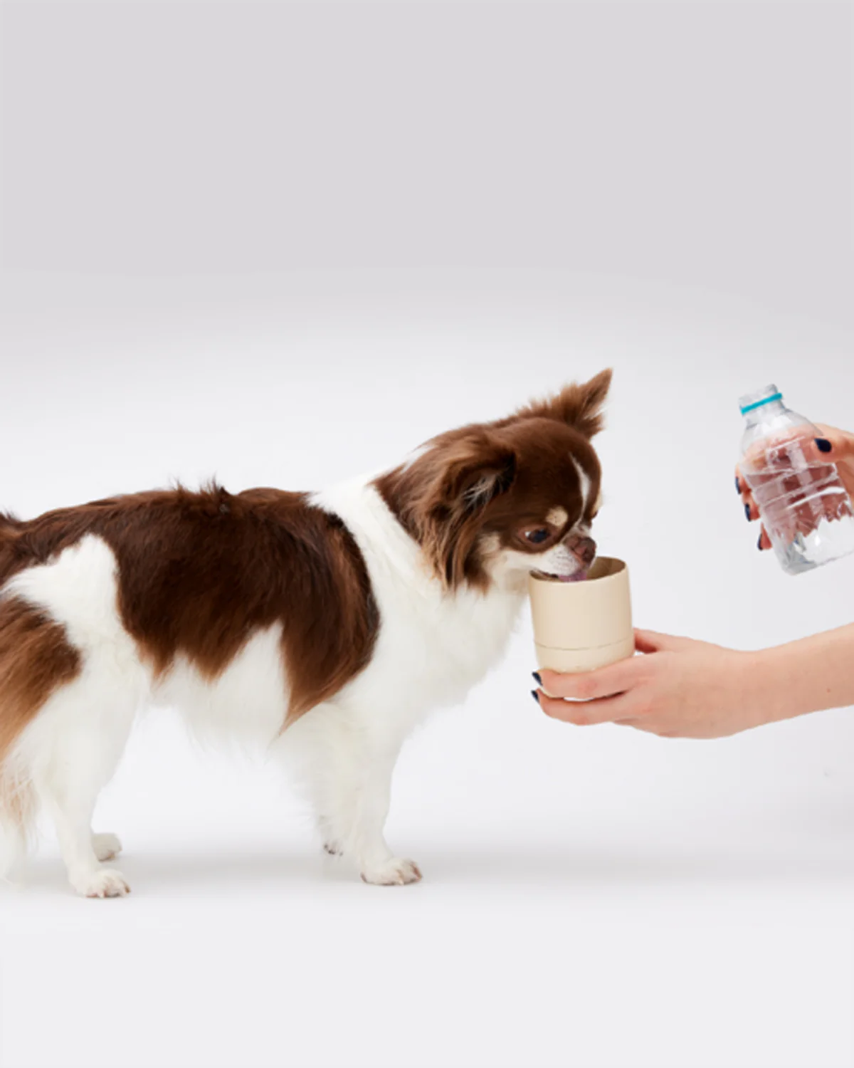 COCONI WATER AND SNACK BOTTLE