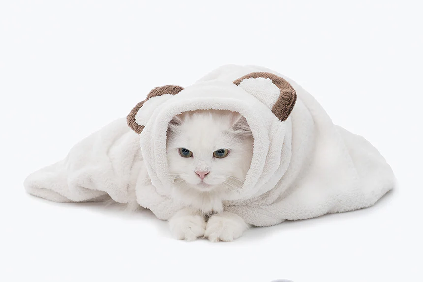 Animal Hood Towel . Bear