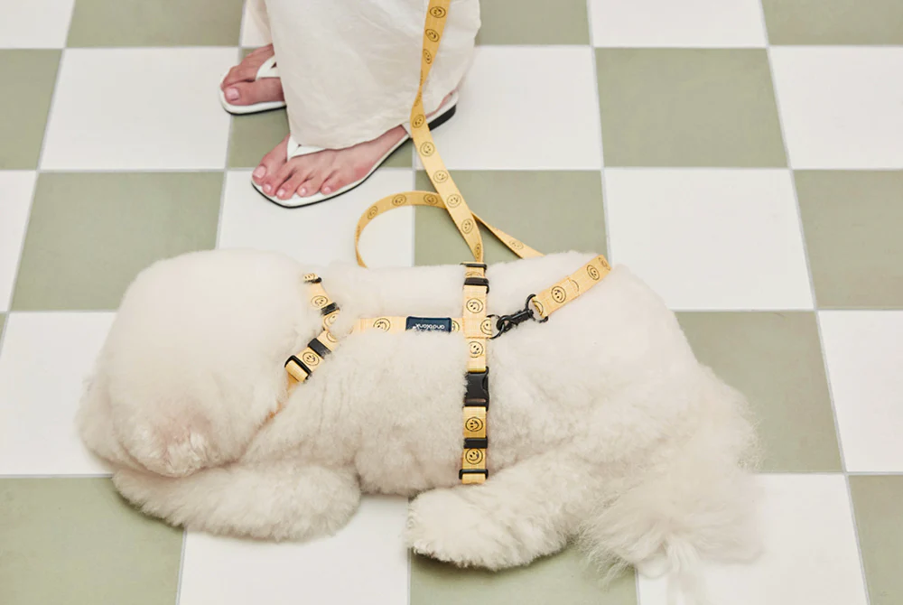 Smile Edition . Yellow . Harness & Leash Set