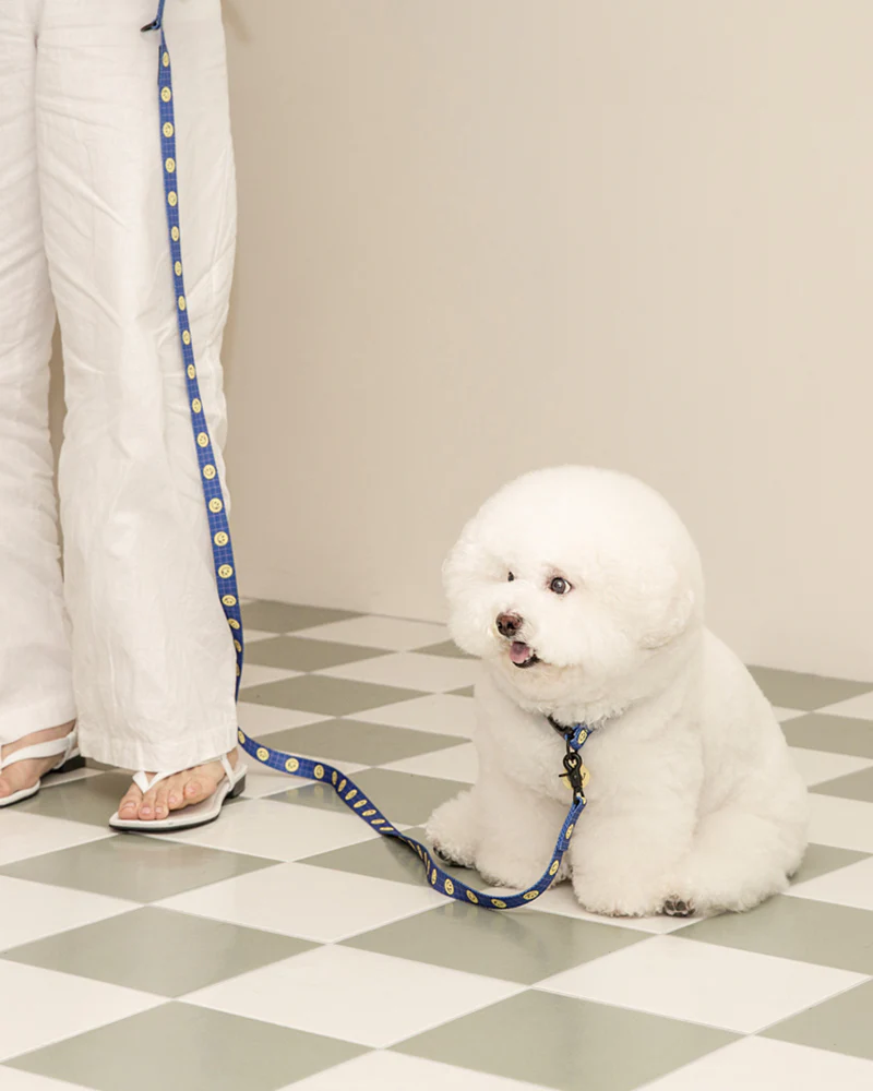 Smile Edition . Blue . Collar & Leash Set