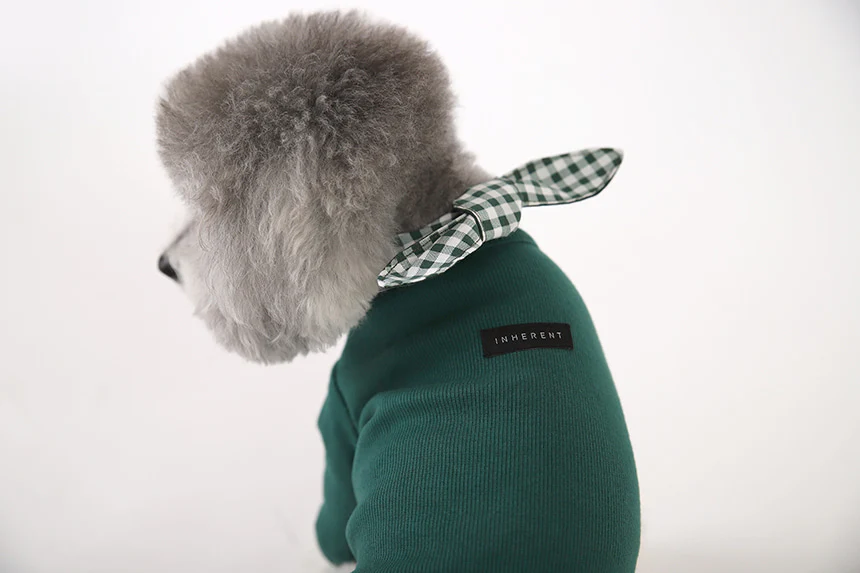 GELATO . SLEEVE . GREEN