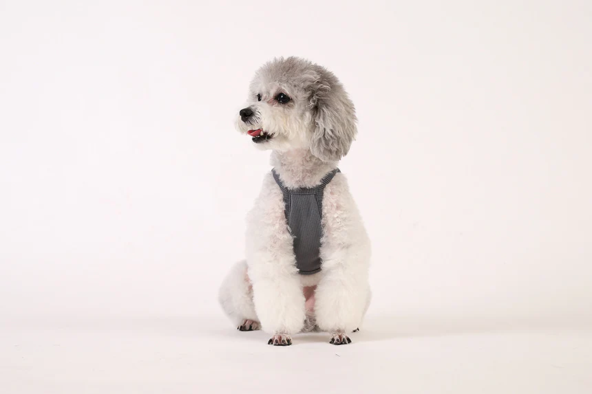 GELATO . STRING . GRAY