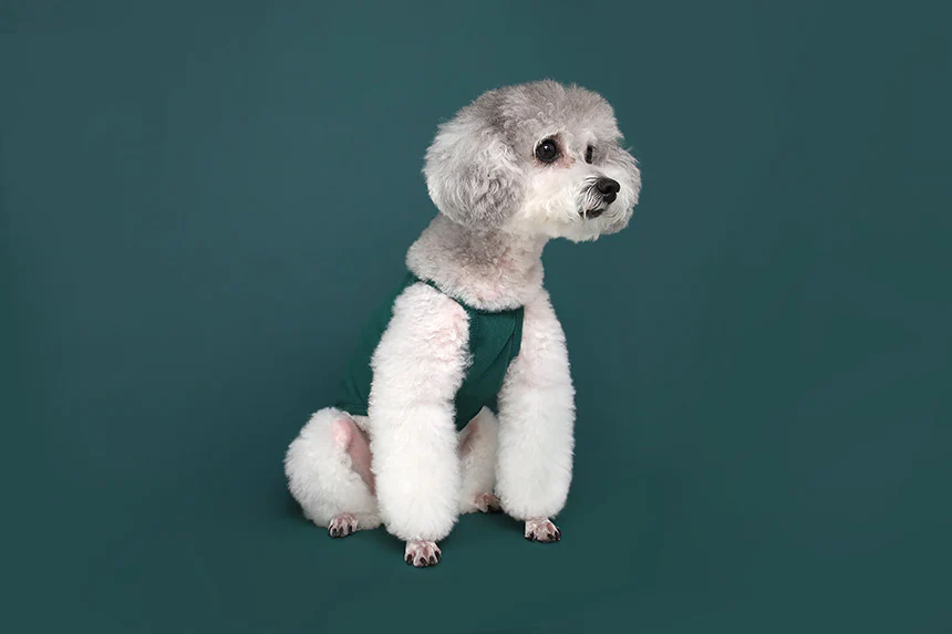 GELATO . STRING . GREEN