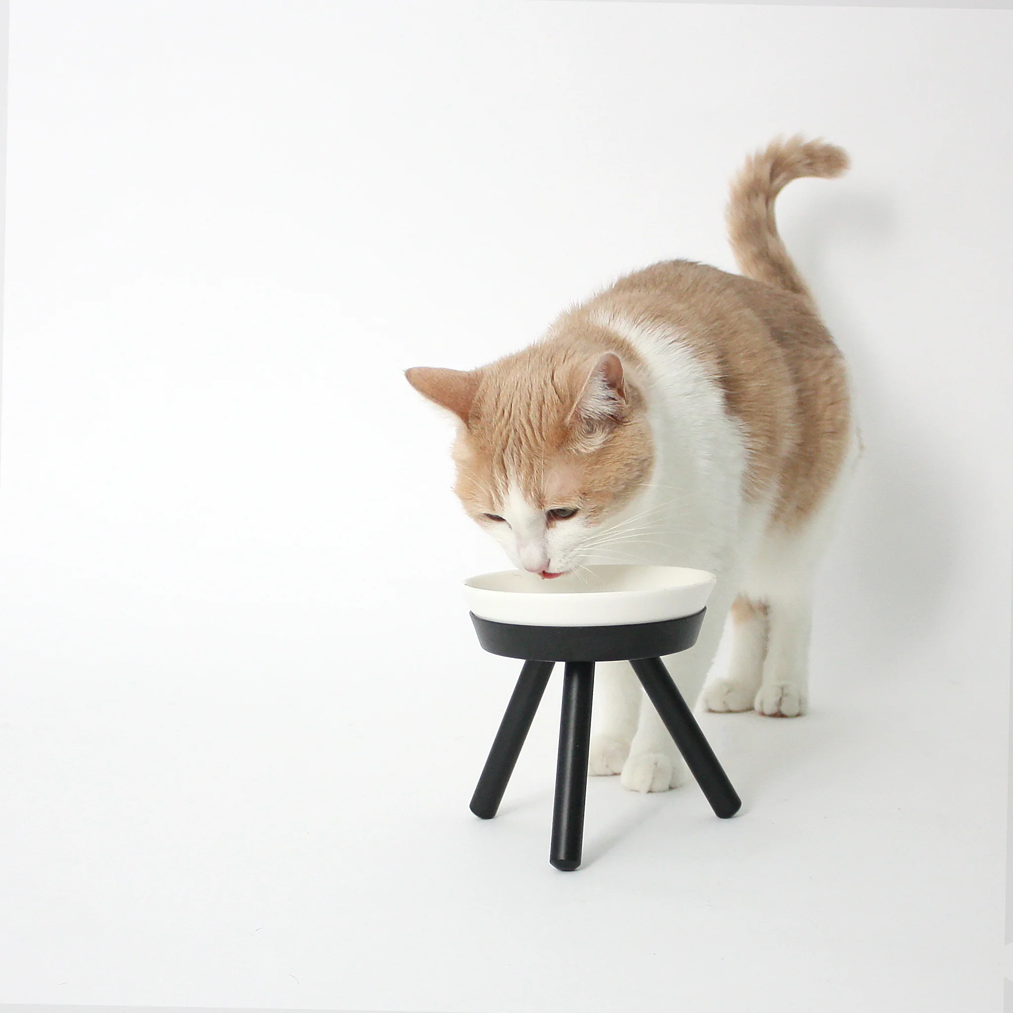Oreo Elevated Pet Feeder Table . Black & White . Tall