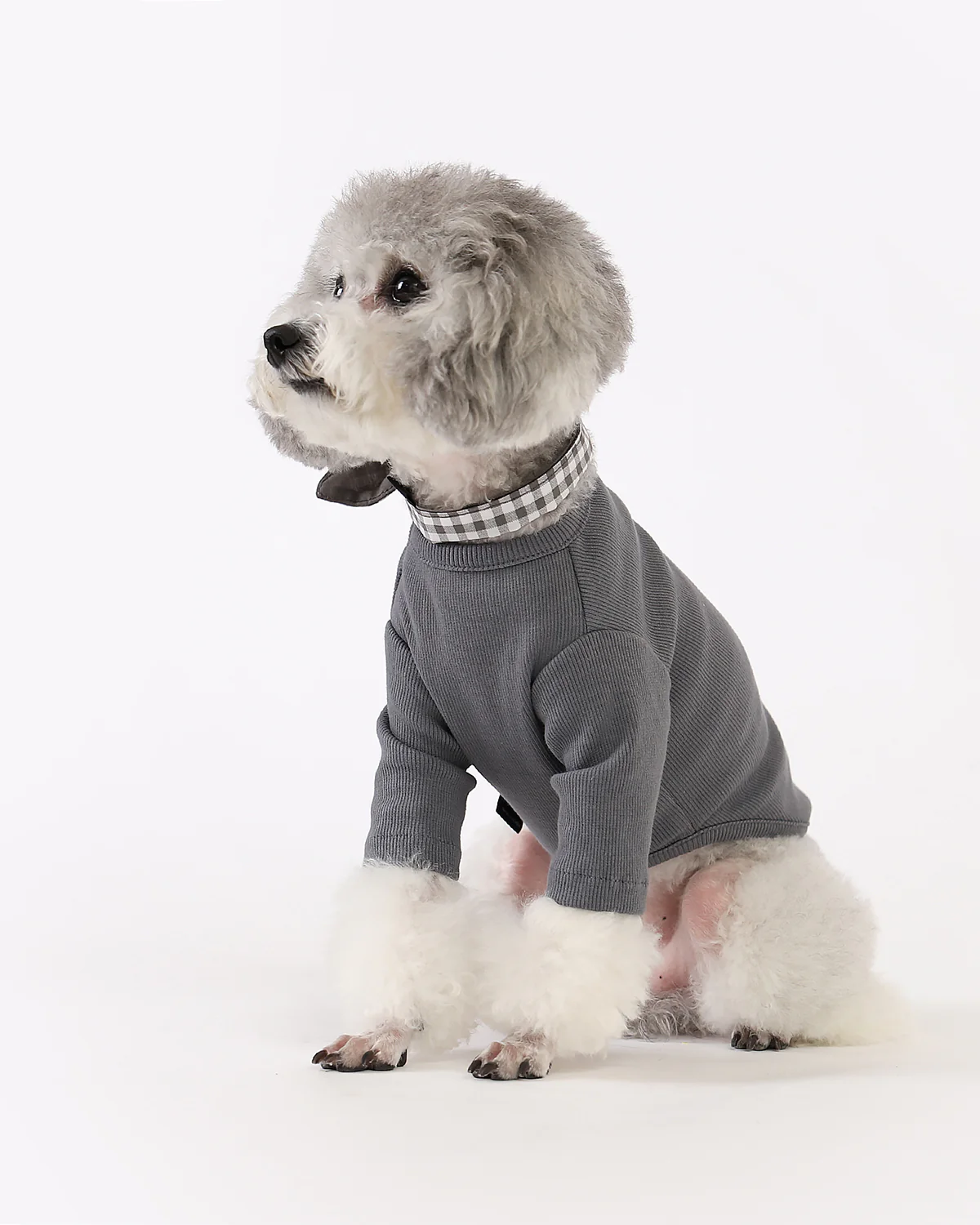 GELATO . SLEEVE . GRAY