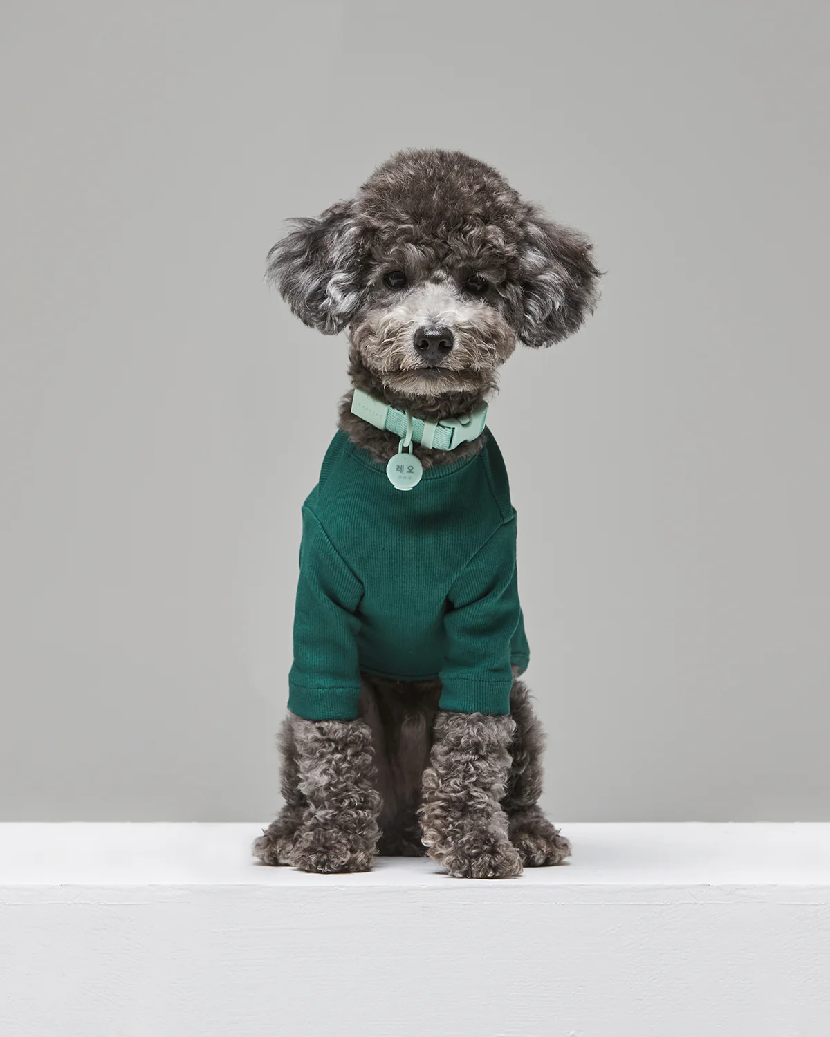 Macaron Collar . Aqua