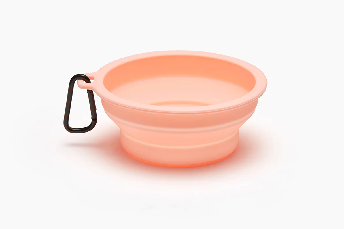 Macaron Collapsible Bowl . Pink