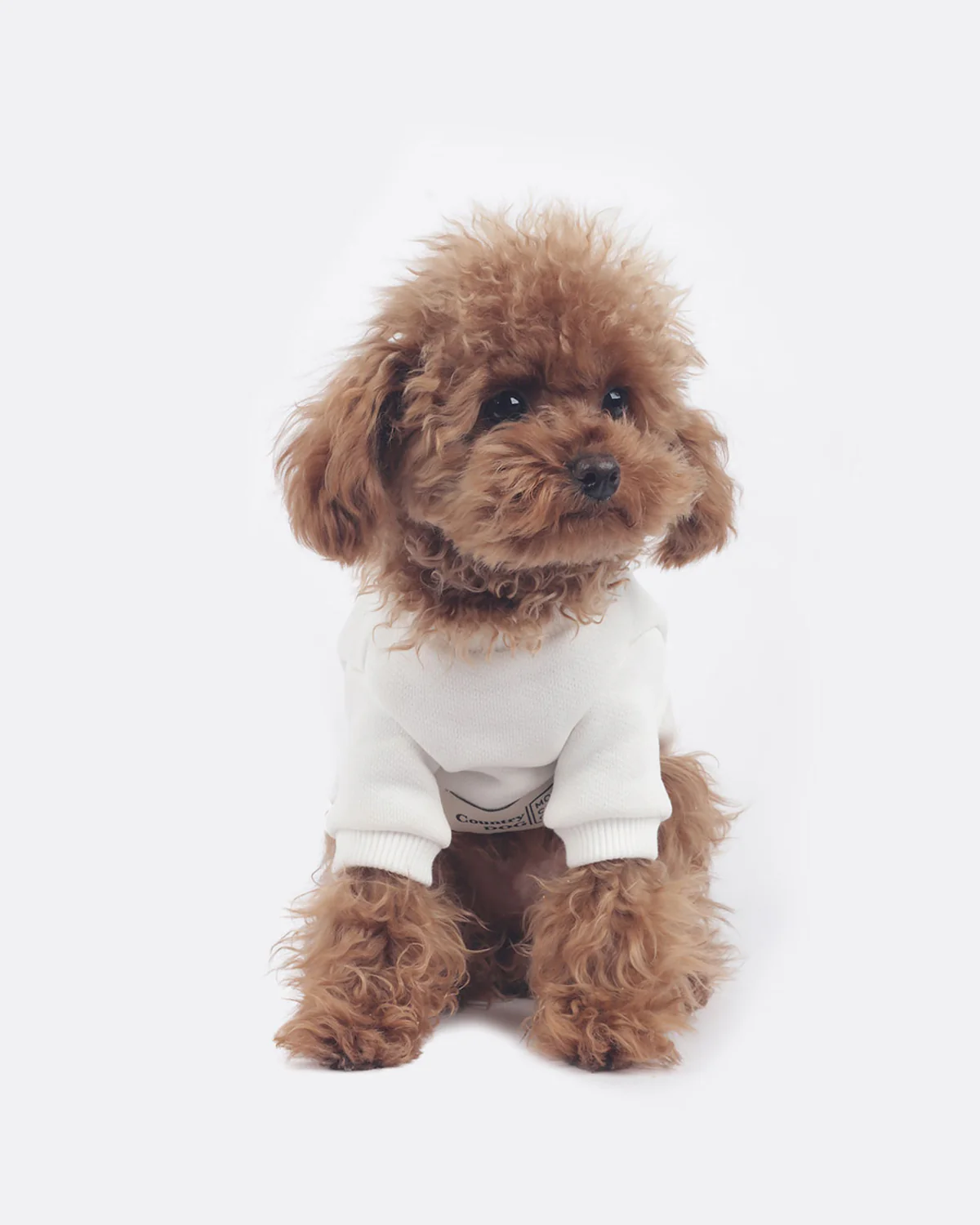 With dog Sweatshirts . For Dogs . White