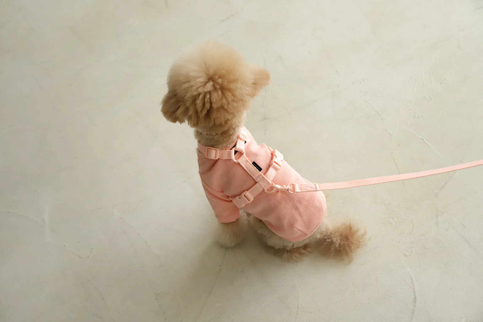 Macaron Harness . Pink