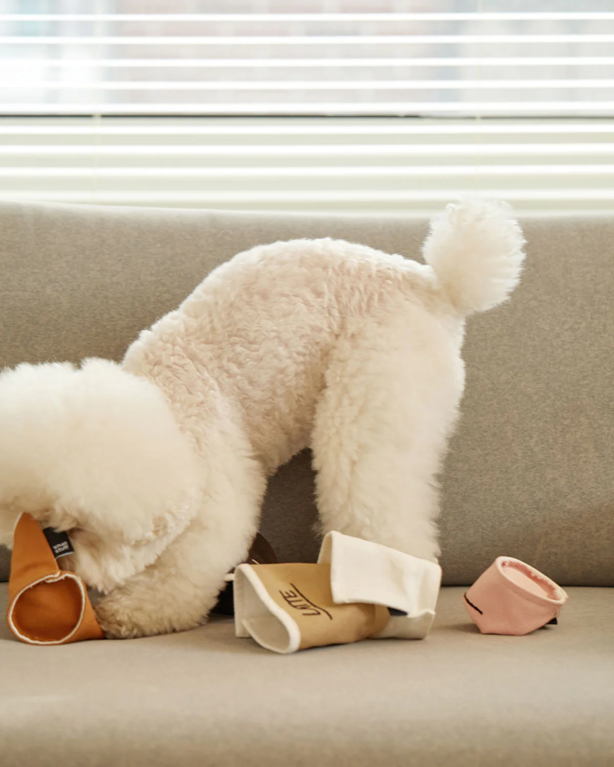 PAPER CUP NOSEWORK TOY