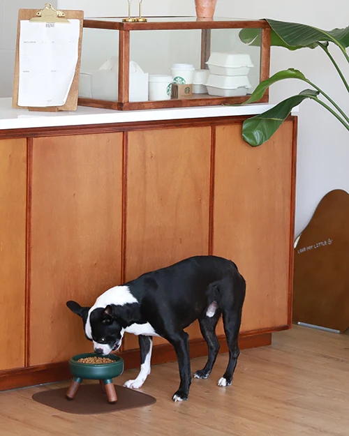 Oreo Elevated Pet Table Wood . Dark Green . Short