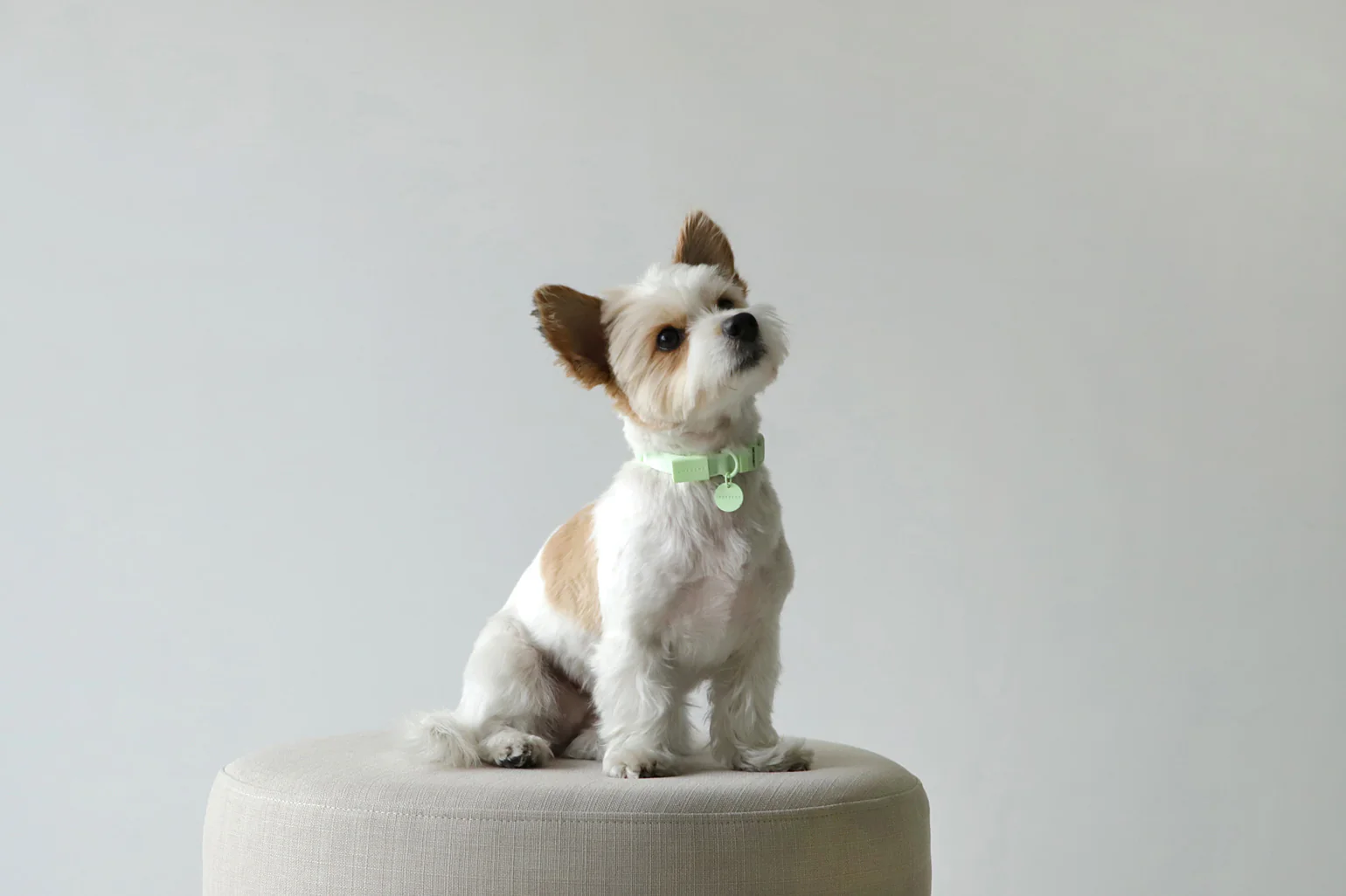 Macaron Collar . Mint Green