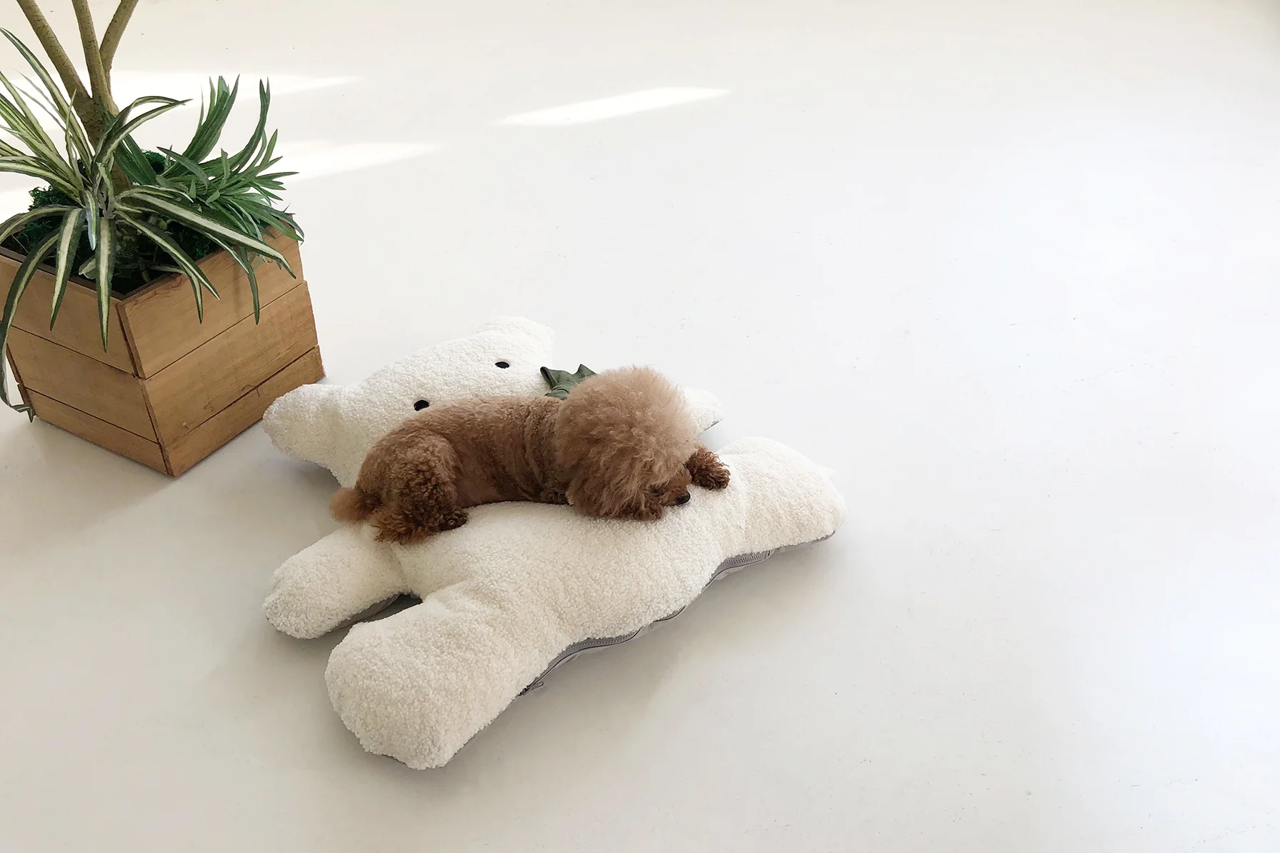 BEAR CUSHION . WHITE