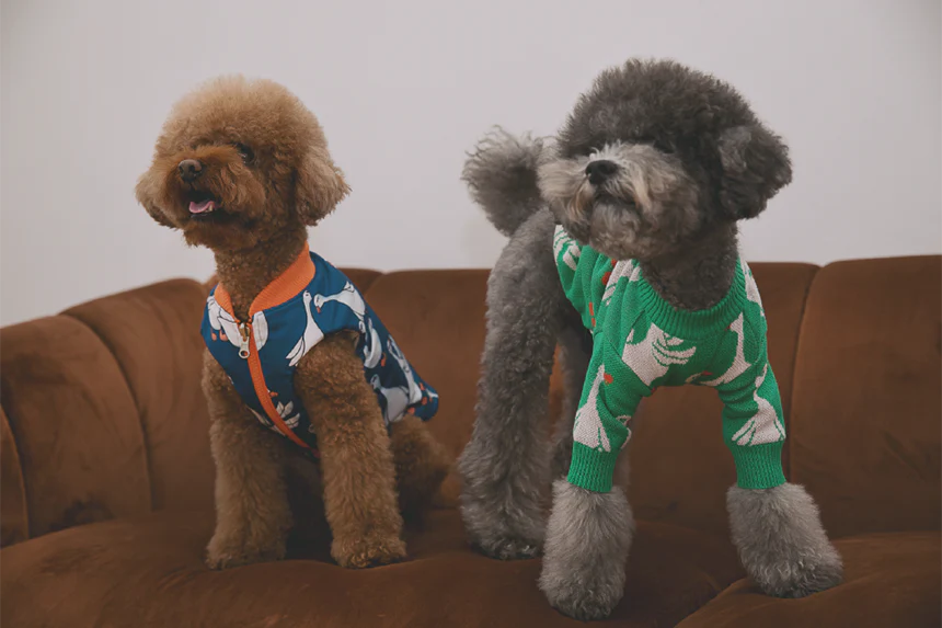 Flying Duck Reversible Padding Jacket . Blue