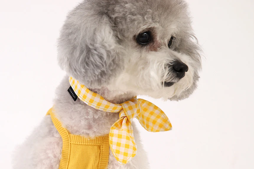 GELATO . STRING . YELLOW