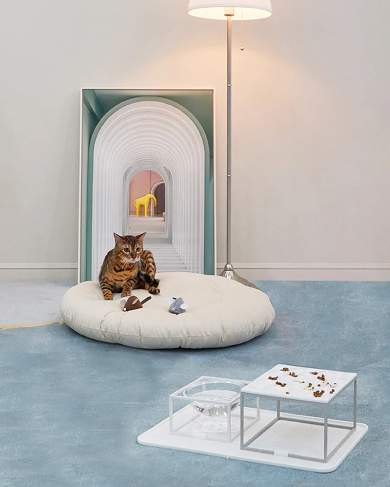 Wave Slow Pet Feeding Plate