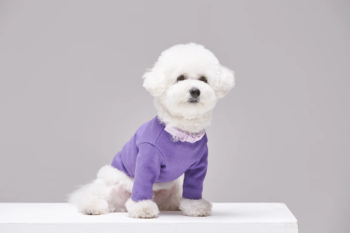 Macaron Collar . Lavender