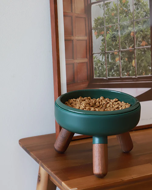 Oreo Elevated Pet Table Wood . Dark Green . Short