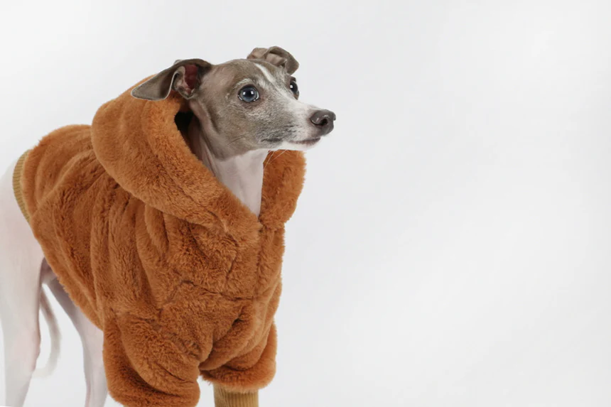 Boutique Faux Fur Jumper