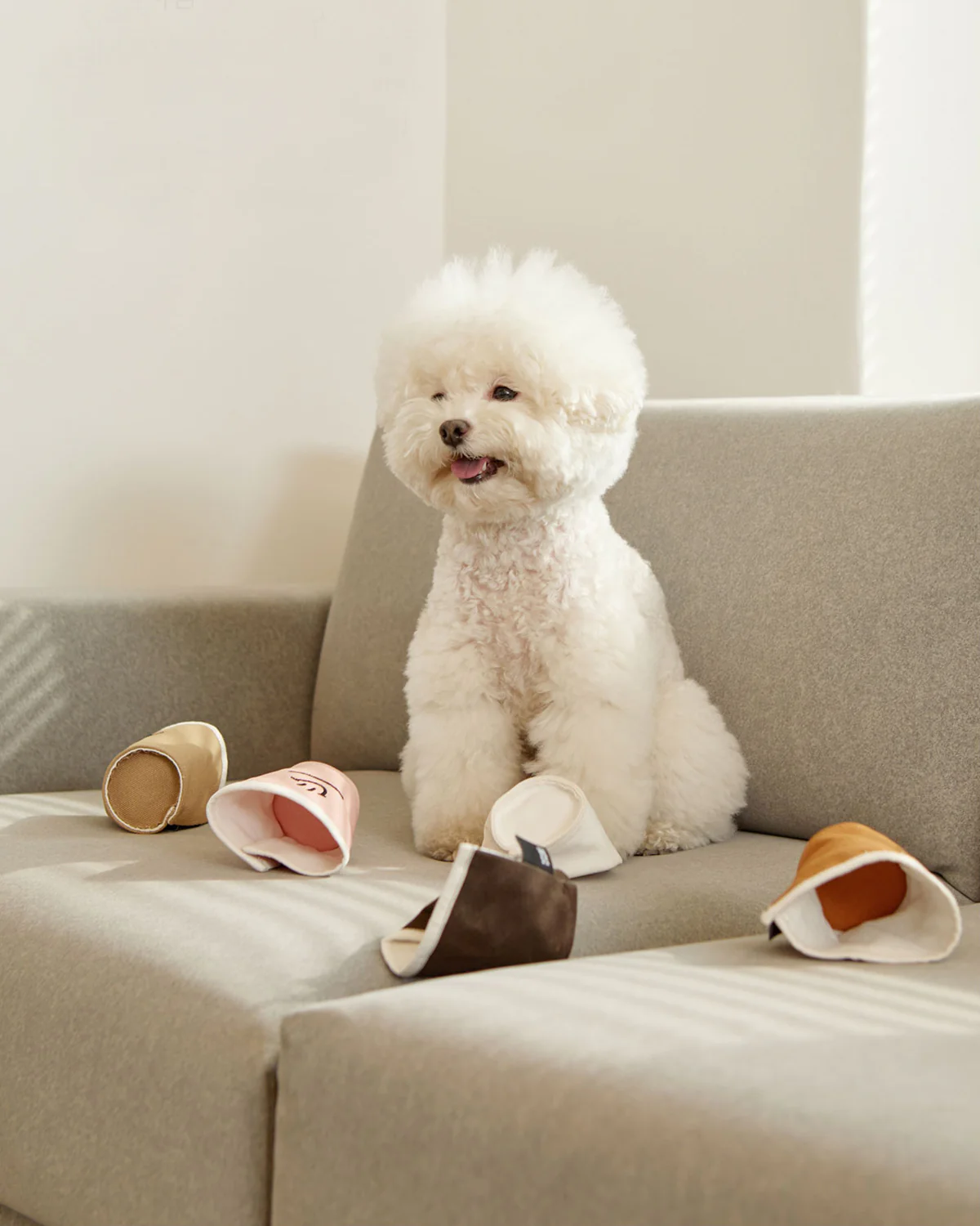 PAPER CUP NOSEWORK TOY