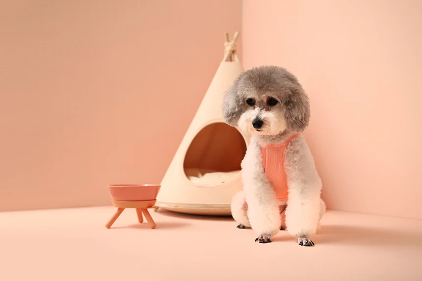 GELATO . STRING . PINK