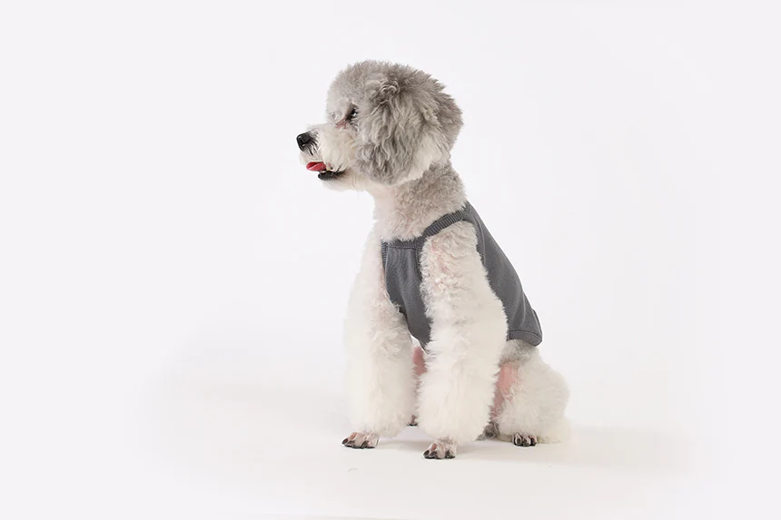 GELATO . STRING . GRAY