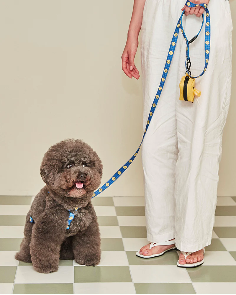 Smile Edition . Blue . Leash