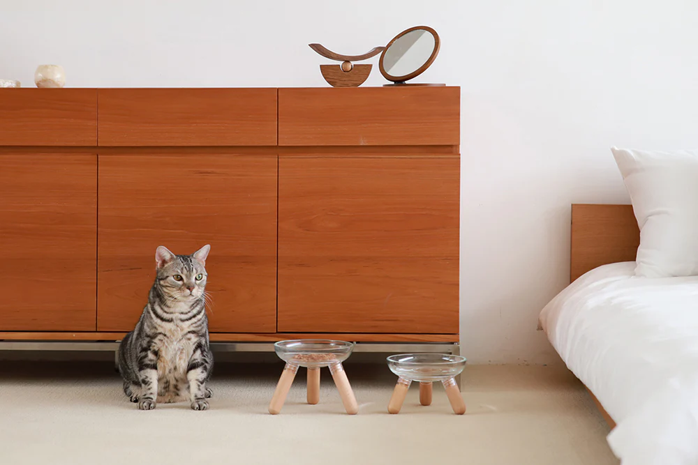 Oreo Glass Elevated Pet Table. Beech . Tall