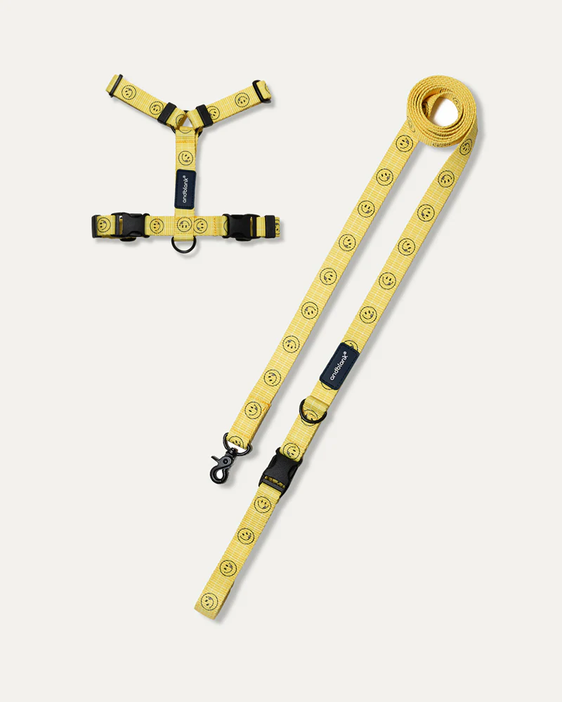 Smile Edition . Yellow . Harness & Leash Set