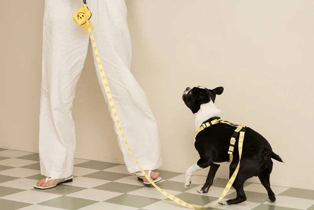 Smile Edition . Yellow . Leash