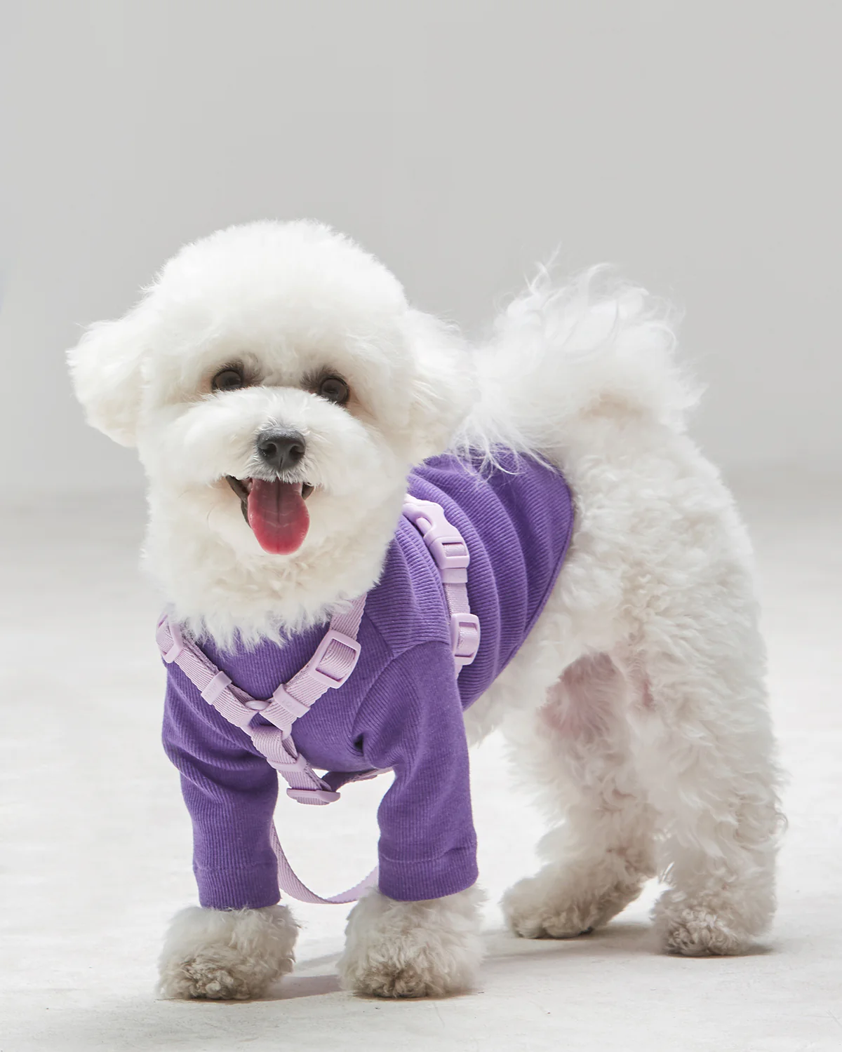 Macaron Harness . Lavender