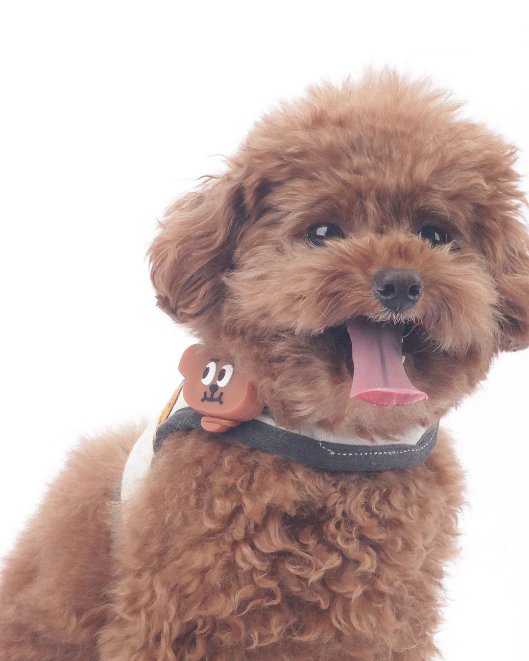 Bear Night Light Pendant