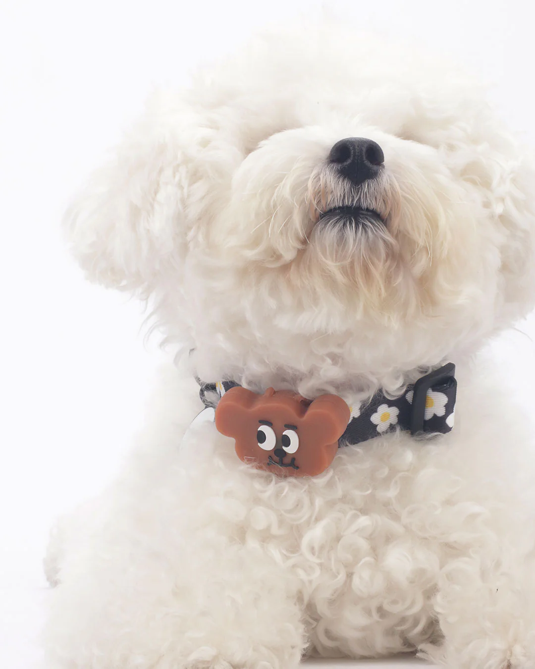 Bear Night Light Pendant