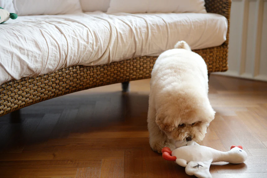 Flying Duck Nosework Toy