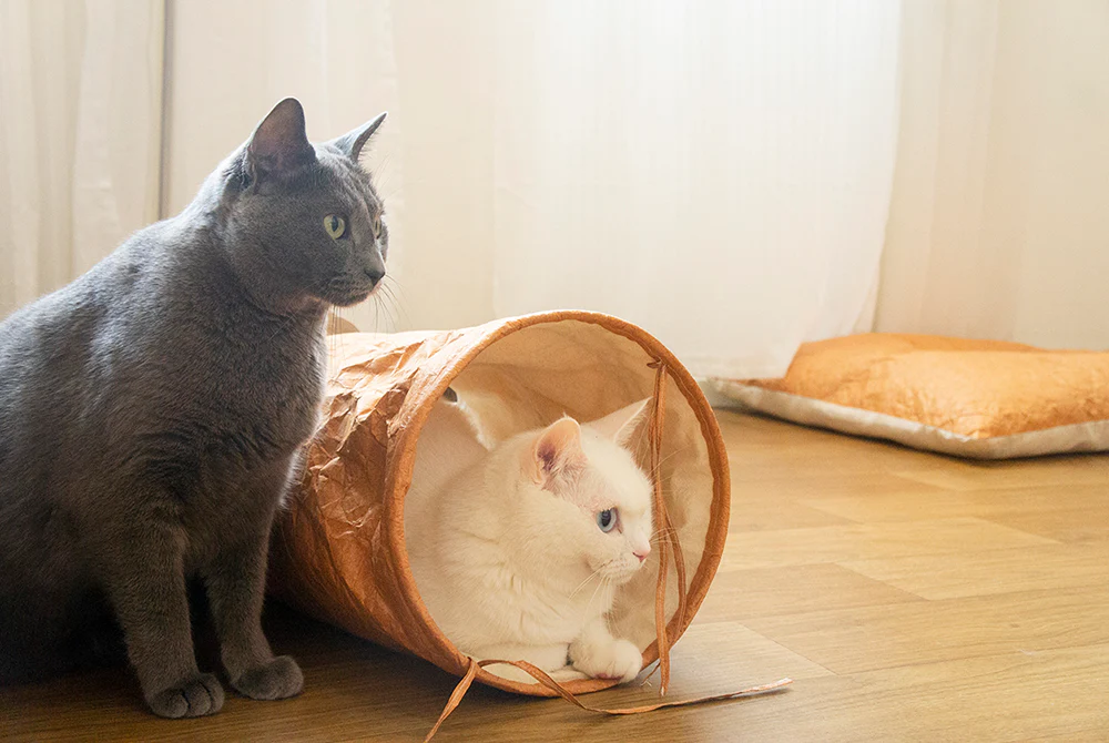 TYVEK CAT TUNNEL