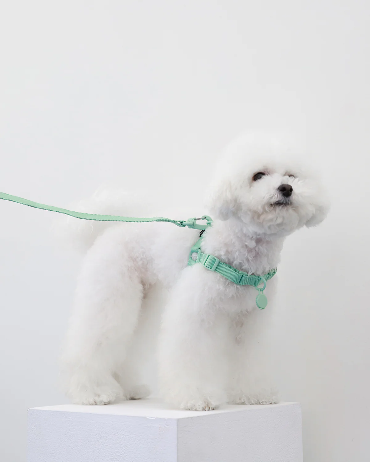 Macaron Comfort Harness . AQUA