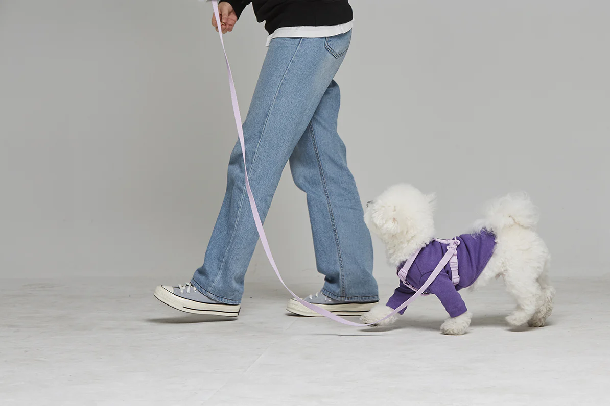 Macaron Harness . Lavender