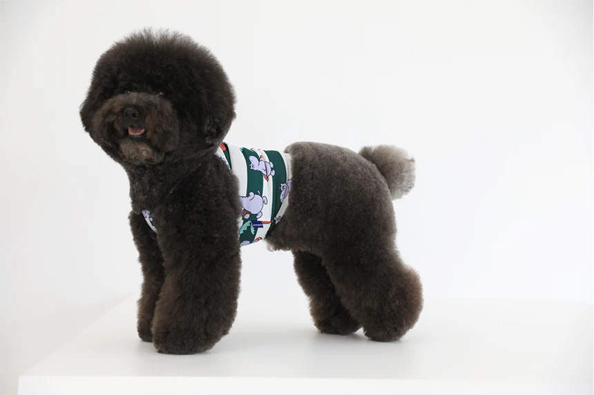 ALOHA HIPPO CROP TEE . EMERALD GREEN