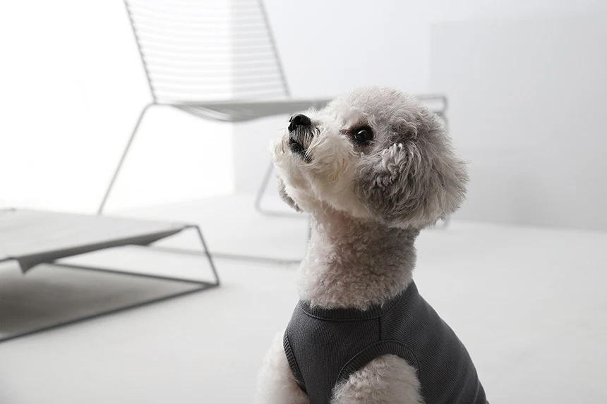 GELATO . TANK . GRAY