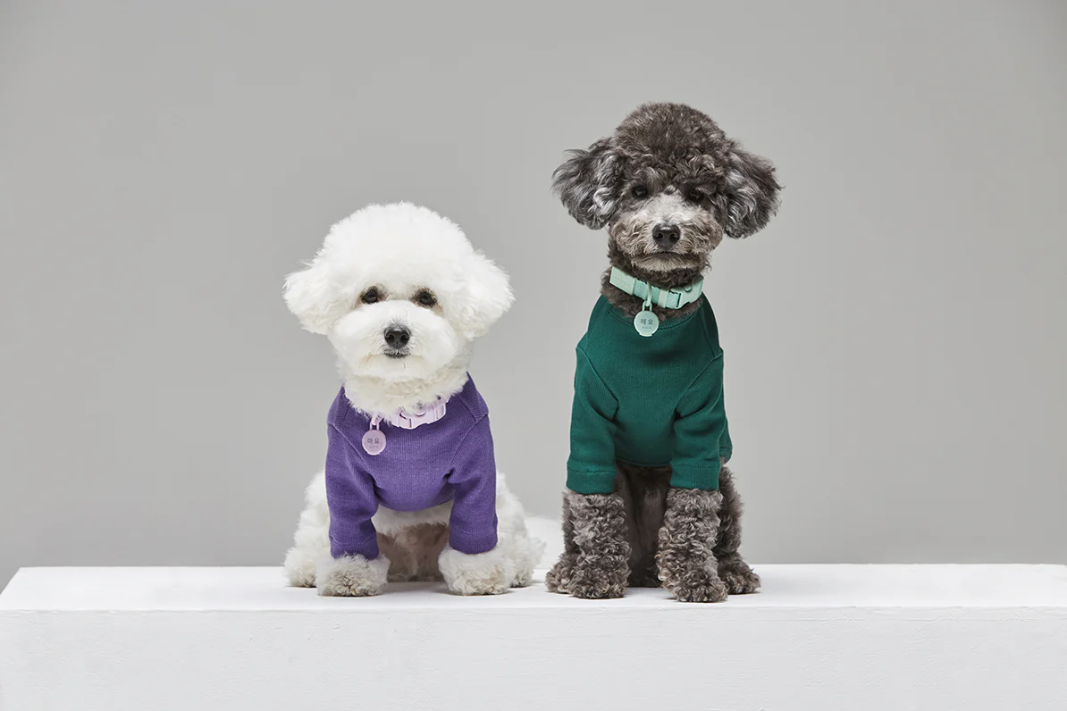 Macaron Collar . Aqua