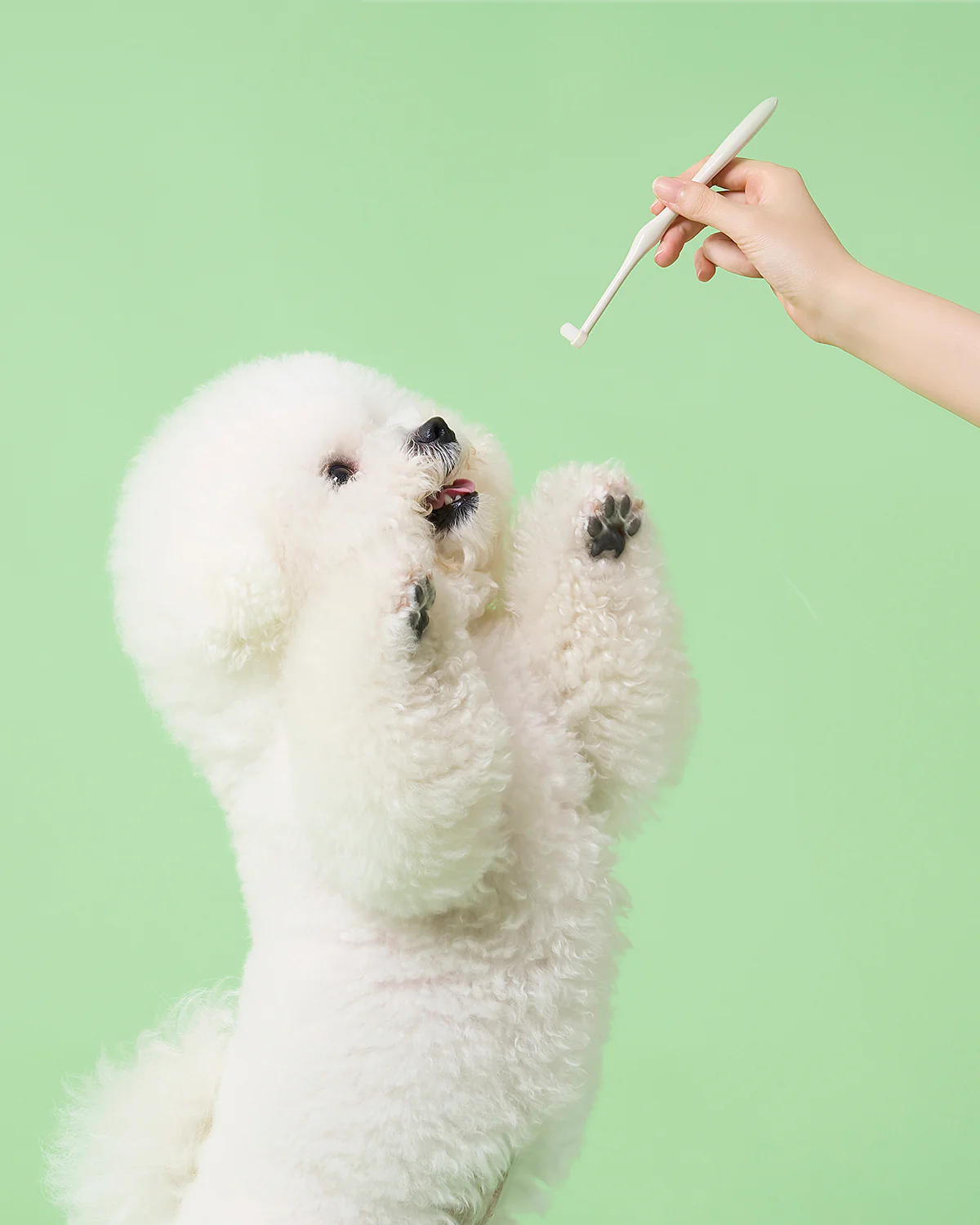 Smile Dental Brush & Gel