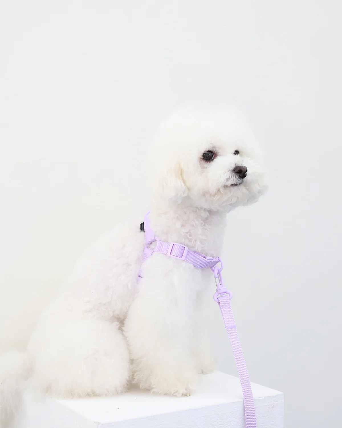 Macaron Comfort Harness . Lavender